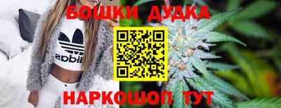 прущие грибы Можайск