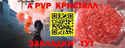 прущие грибы Можайск