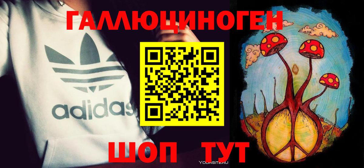 Галлюциногенные грибы ЛСД  закладка  Алейск  Вход с VPN 